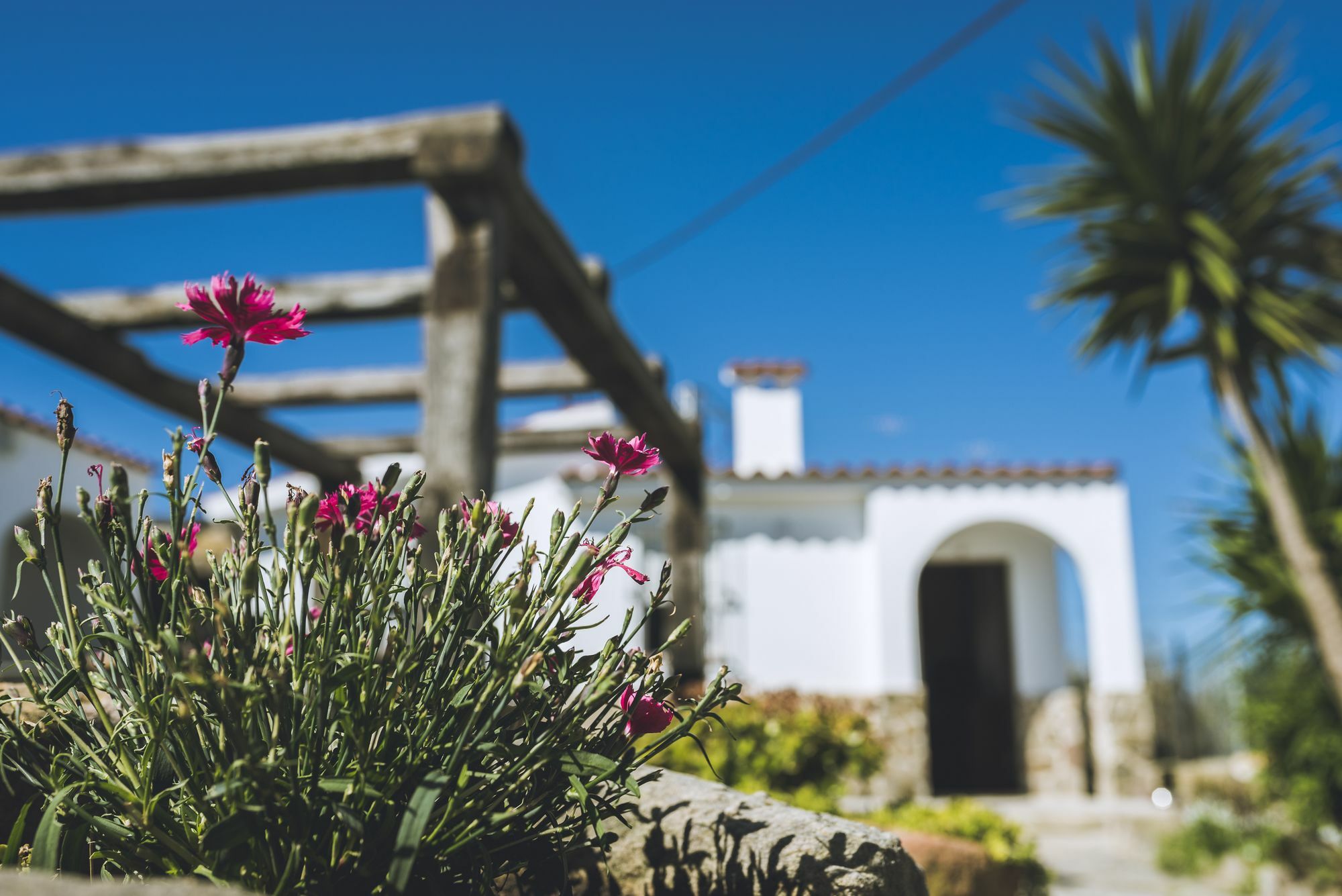 El Rancho Aparthotel Tarifa Exterior foto